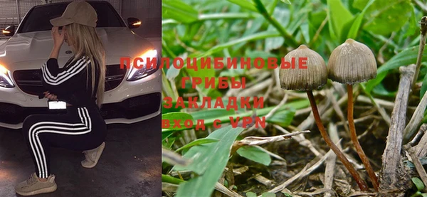 эйфоретик Волоколамск