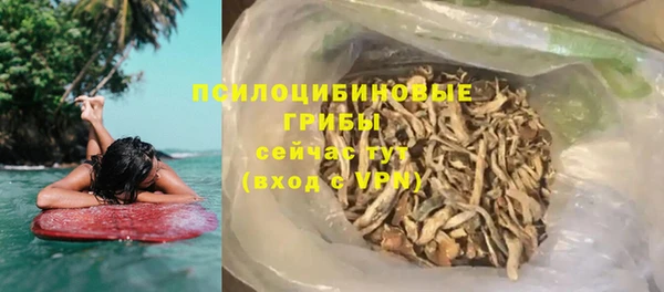 марки nbome Вяземский