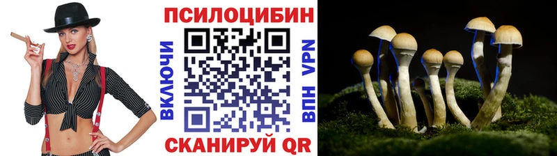 Псилоцибиновые грибы мицелий Енисейск