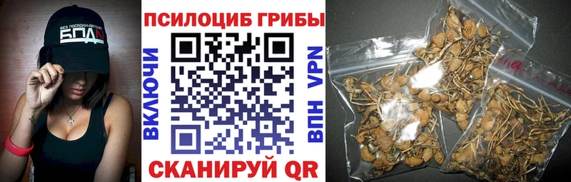 магазин    Енисейск  Галлюциногенные грибы мухоморы 